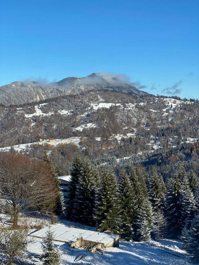 Genco Hotel Mountain View Predeal Exterior foto